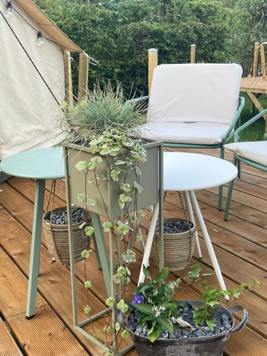 Orchidee Hotel Membre Eksteriør billede